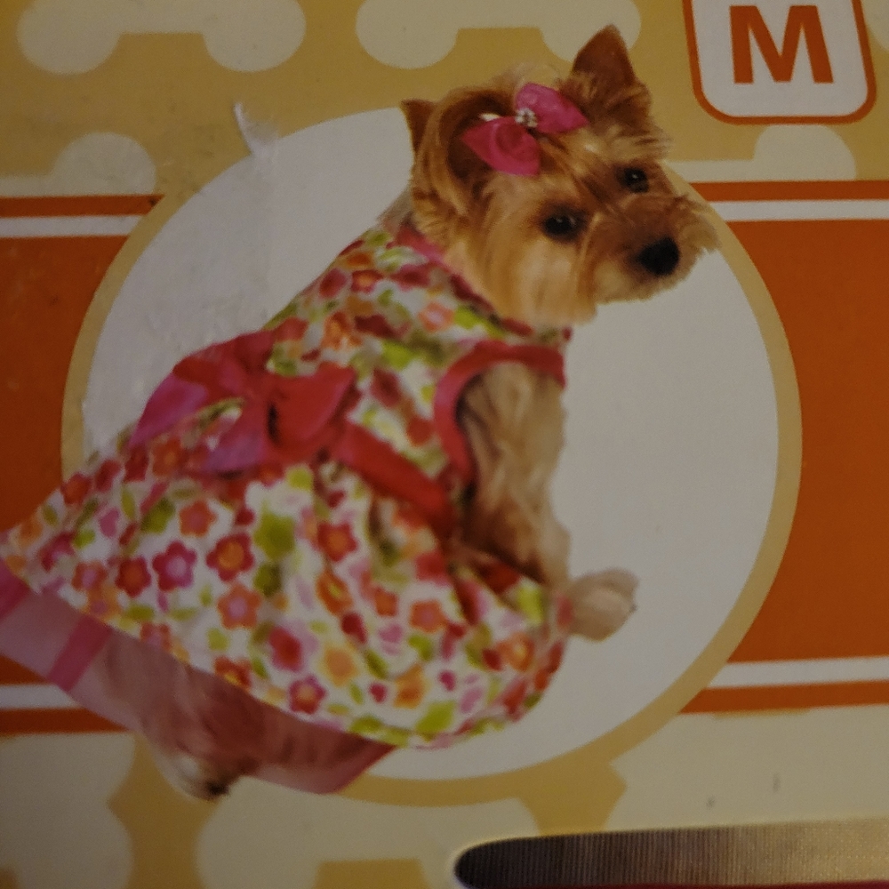 Outfits for Pets